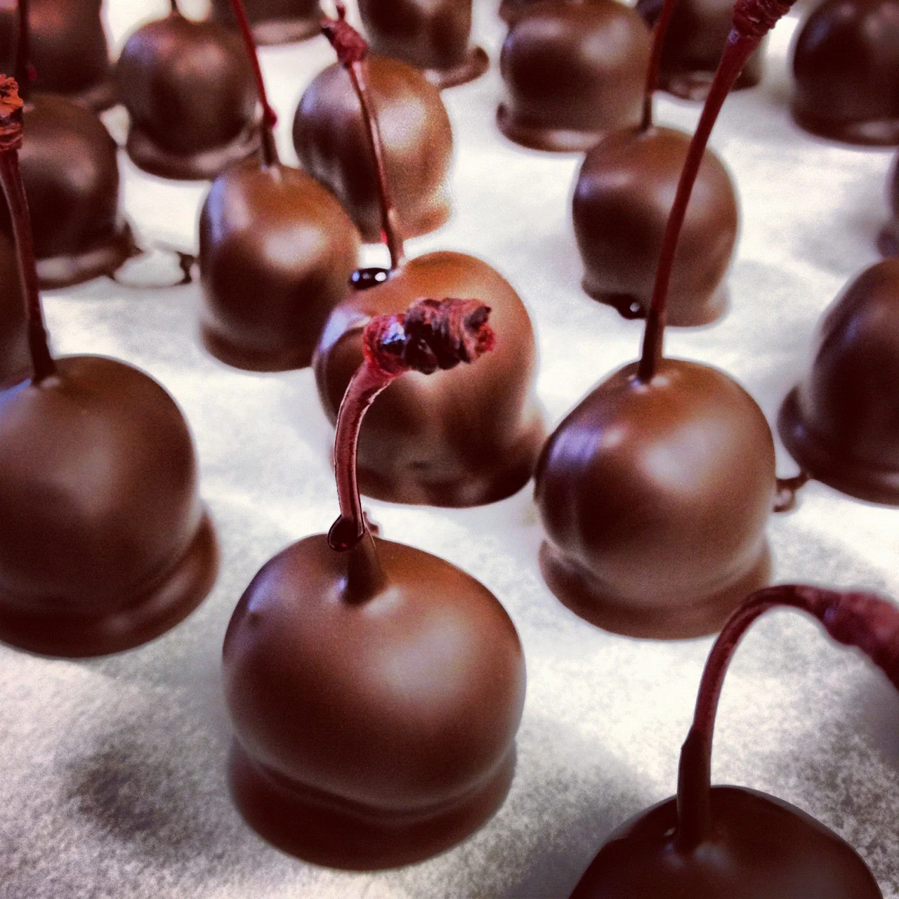 Chocolate Covered Bordeaux Cherries - Image 4