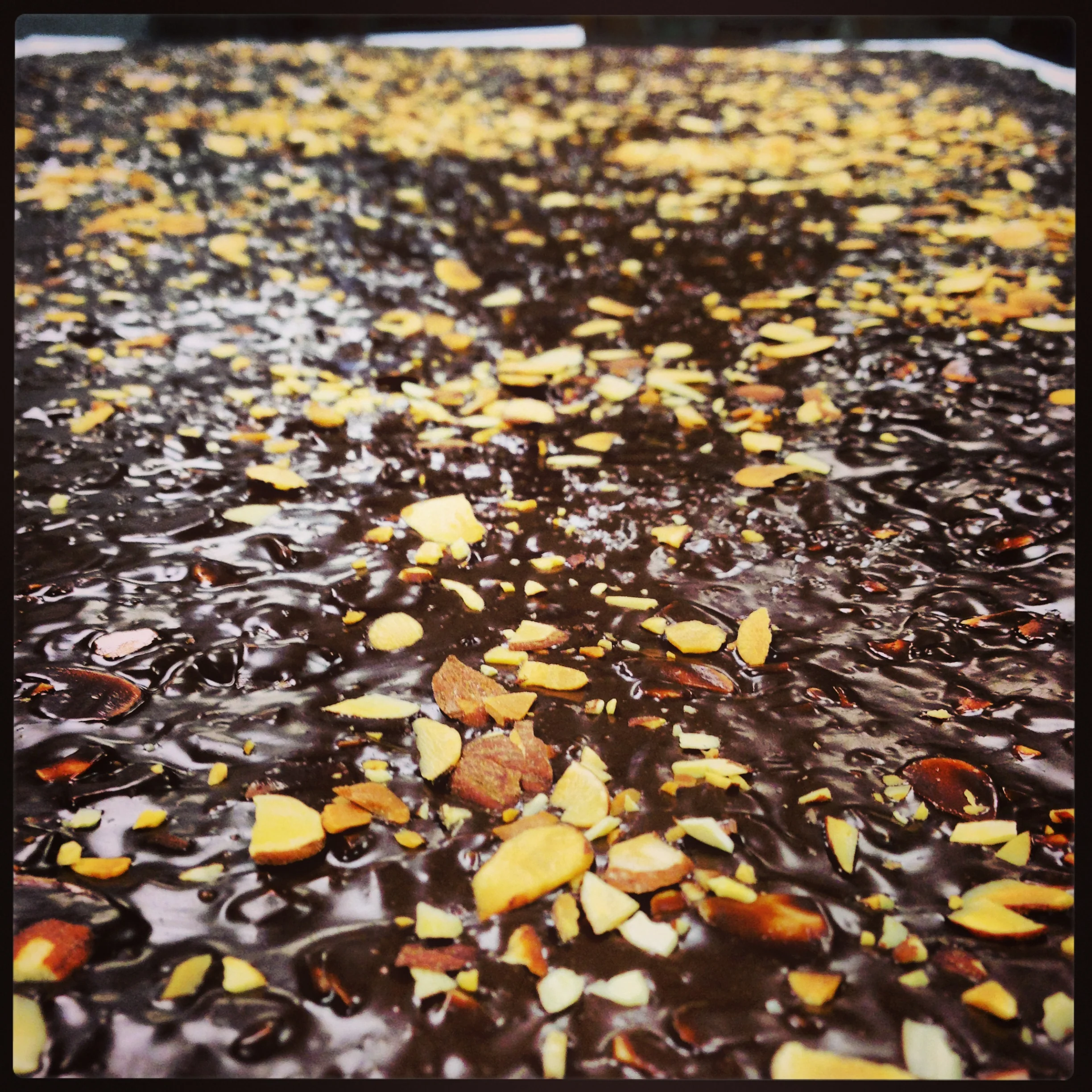 Dark Chocolate Toasted Almond Bark - Image 4